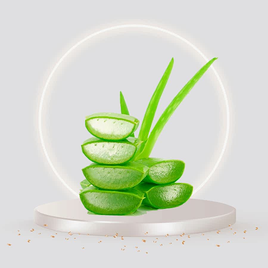 ALOE VERA SUYU 100ML